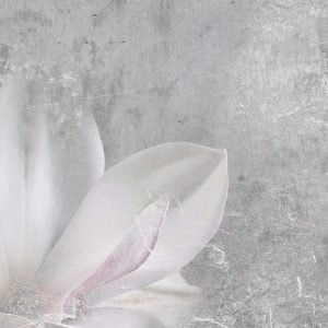 VIRTUVĖS SIENELĖ SP234