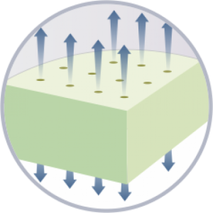 BOLONIJA ČIUŽINYS 10 CM STORIO