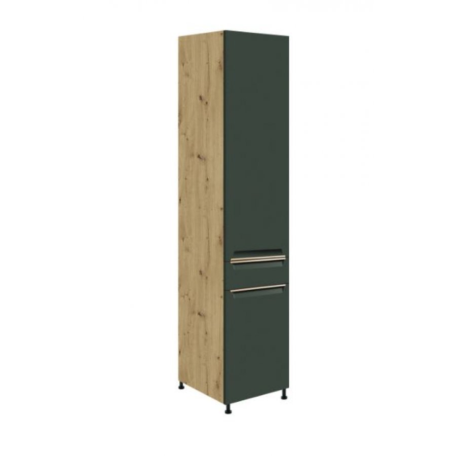 Pastatoma spinta BFD40