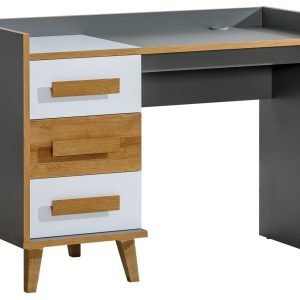 Rašomasis stalas BDL 120