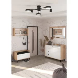 Prieškambaris BMCROS90