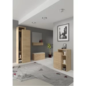 Prieškambaris BMCROS156