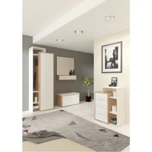 Prieškambaris BMCROS156