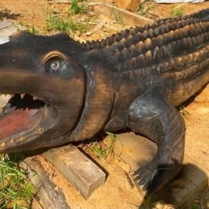 Krokodilas LTBGIN