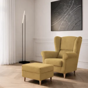 Fotelis + pufas BID 88