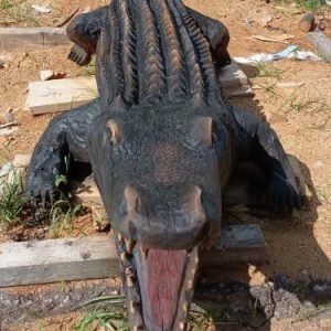 Krokodilas LTBGIN